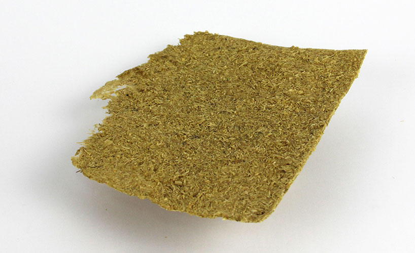 olafur k giant cane material exploration development olafur k giant cane material exploration development