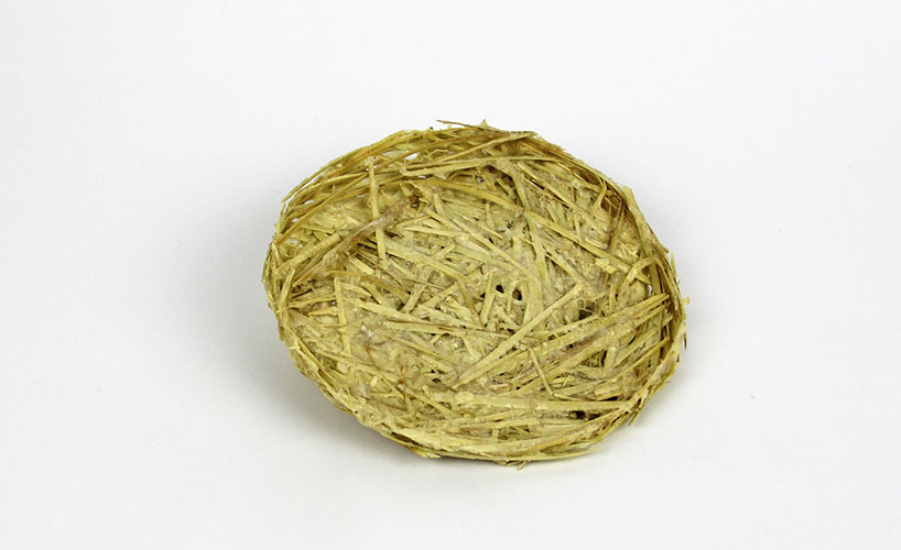 olafur k giant cane material exploration development olafur k giant cane material exploration development