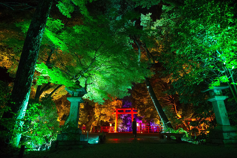teamlab-resonating-spheres-trees-light-festival-tadasu-no-mori-shimogamo-shrine-designboom-02