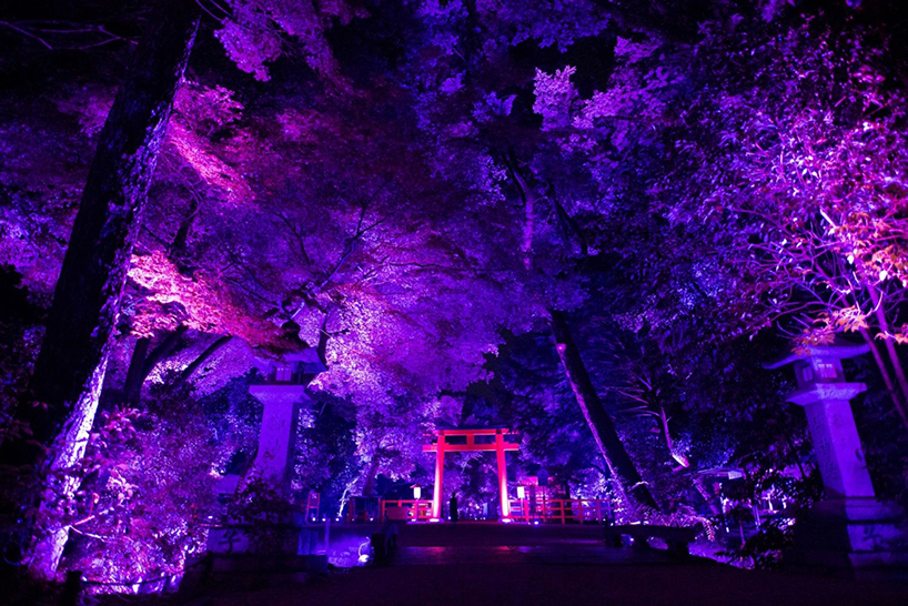 teamlab-resonating-spheres-trees-light-festival-tadasu-no-mori-shimogamo-shrine-designboom-02