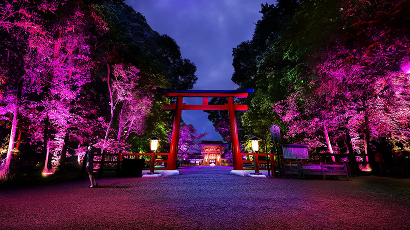 teamlab-resonating-spheres-trees-light-festival-tadasu-no-mori-shimogamo-shrine-designboom-02