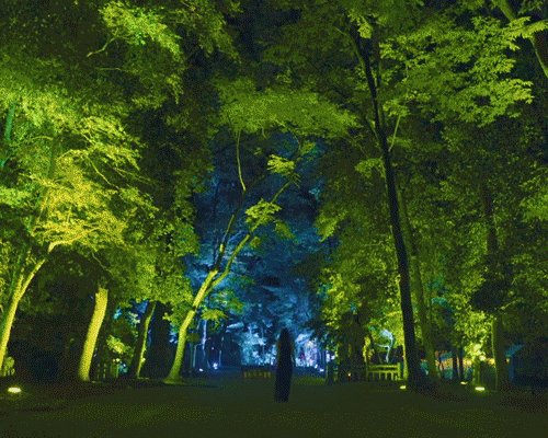 teamlab brilliantly illuminates an ancient shrine in kyoto and its surrounding primeval forest