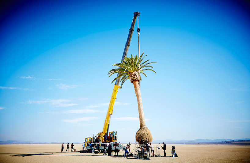 azuma-makoto-palm-tree-algiers-designboom-02