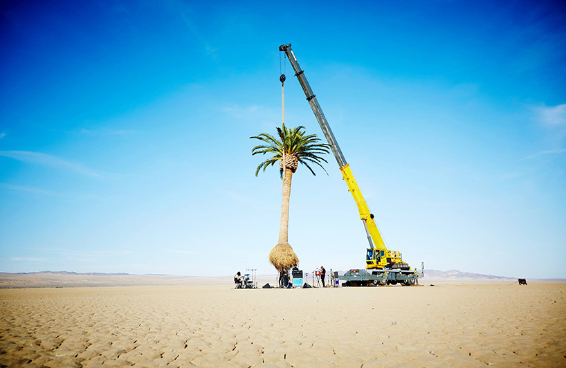 azuma-makoto-palm-tree-algiers-designboom-02
