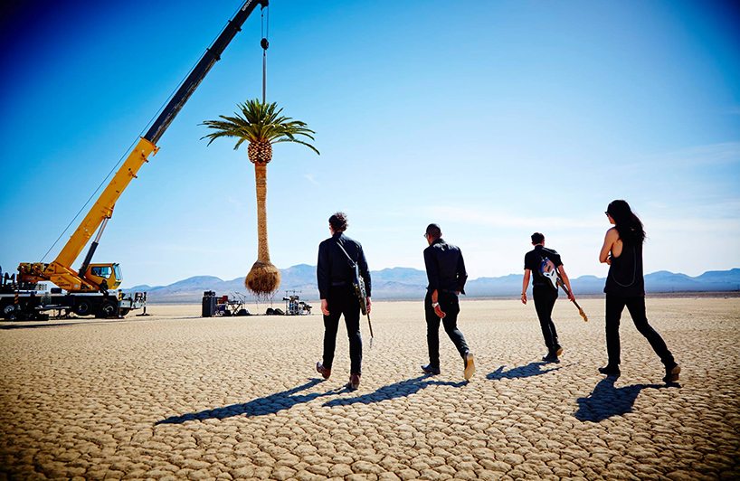 azuma-makoto-palm-tree-algiers-designboom-02