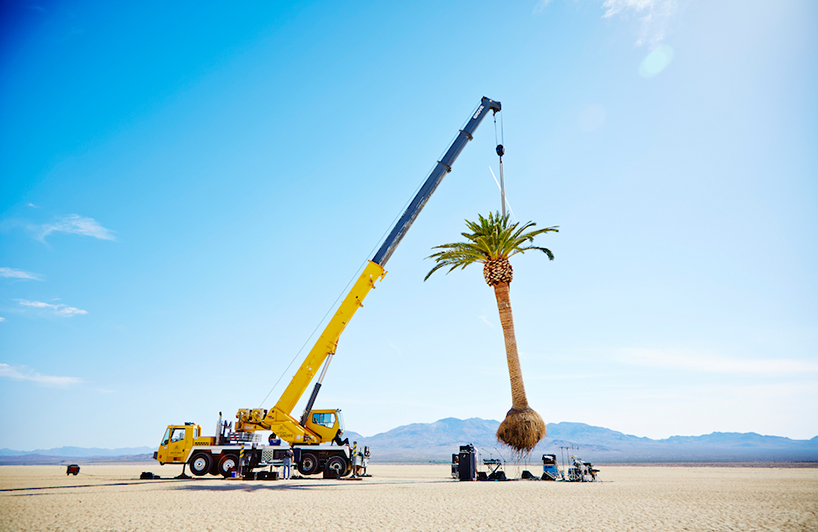 azuma-makoto-palm-tree-algiers-designboom-02