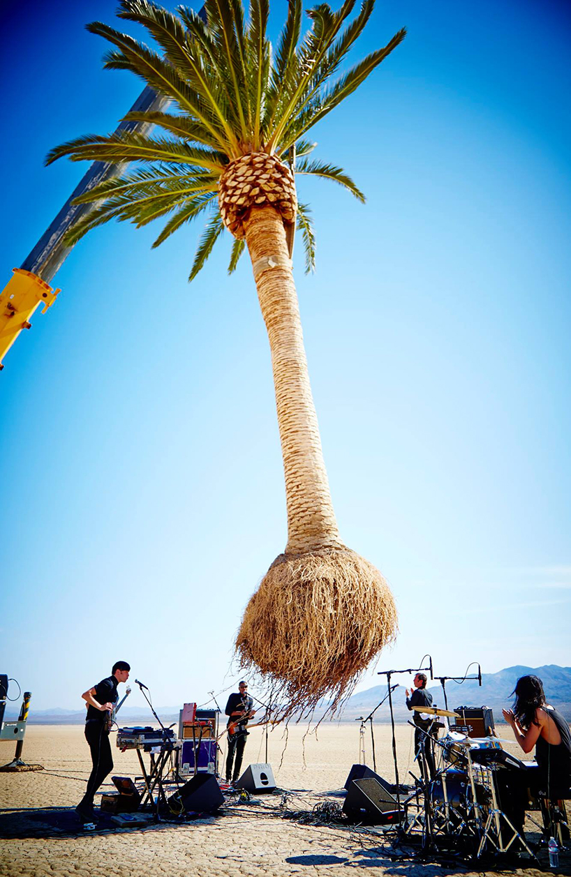 azuma-makoto-palm-tree-algiers-designboom-02