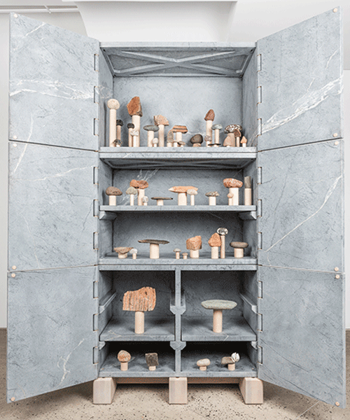 chamber gallery presents a curated collection of cabinets + curiosities