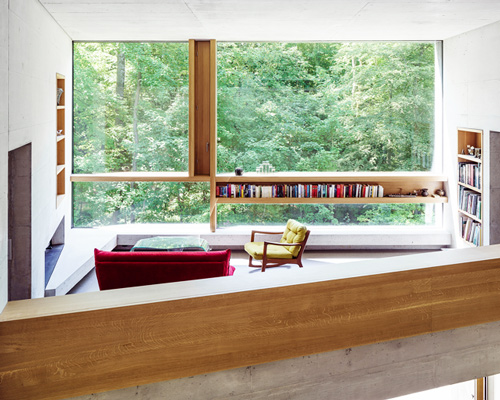 daluz gonzalez frames views of deciduous forest throughout swiss family home