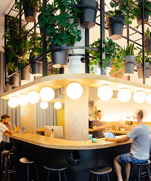 lagranja design creates a leafy, light-filled office in barcelona