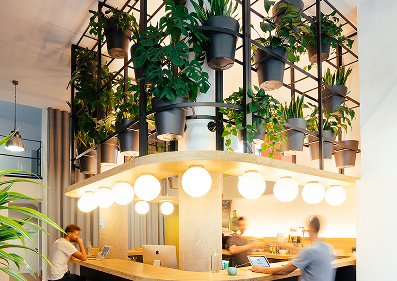 lagranja design creates a leafy, light-filled office in barcelona