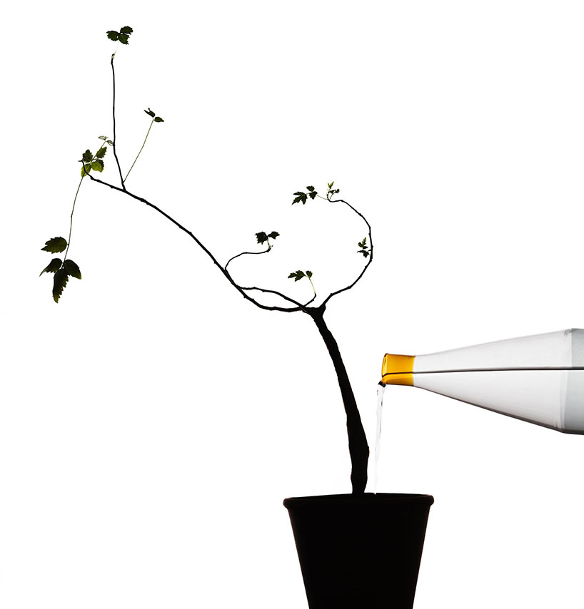 mist-o tequila sunrise collection glass ichendorf designboom