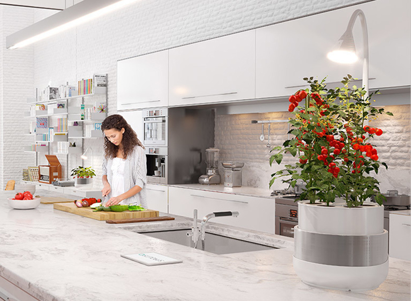 sproutsio designboom