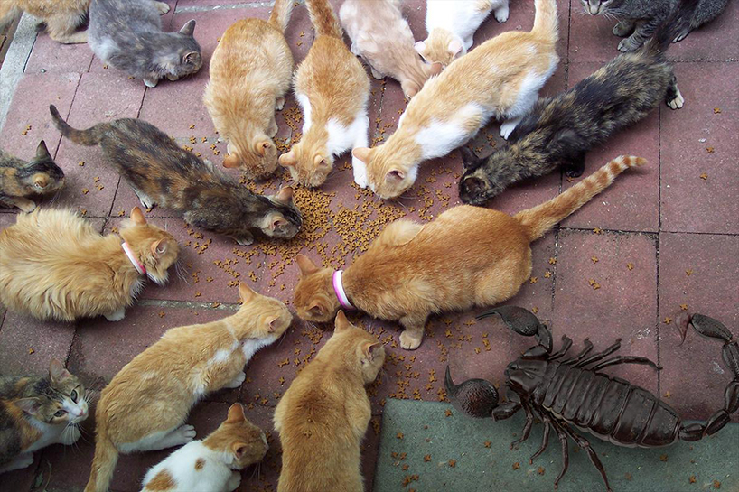 a-quick-perspective-kevin-wisbith-designboom-02