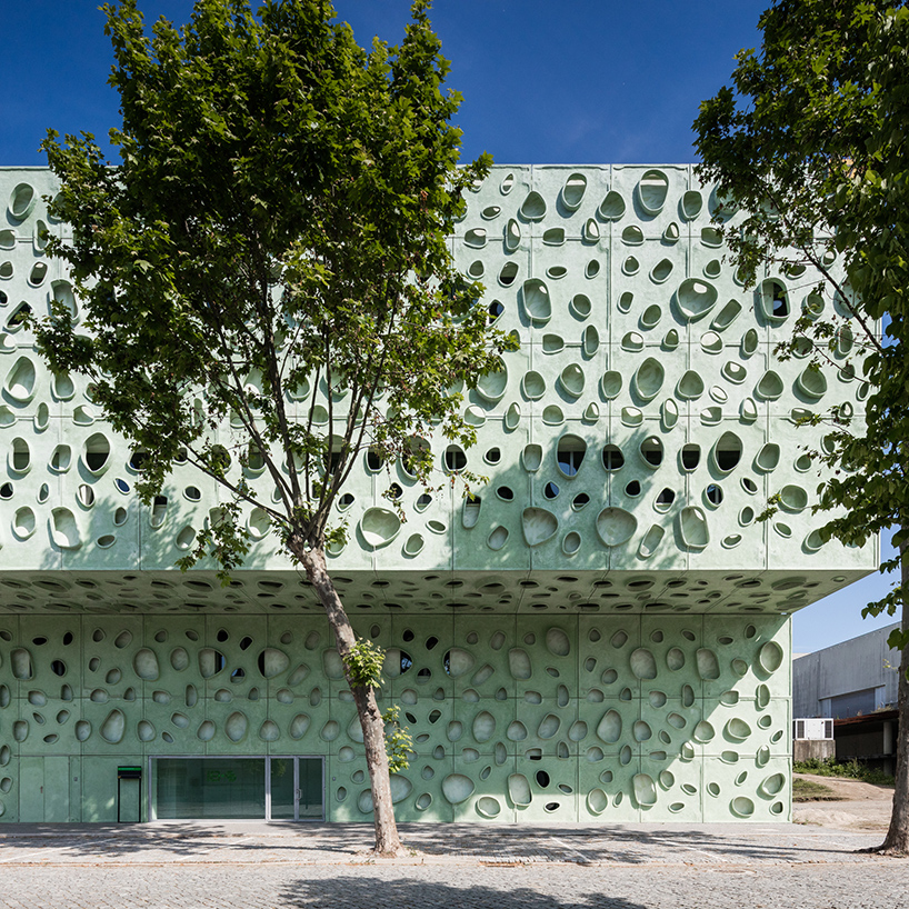 claudio-vilarinho-ibs-institute-of-science-and-innovation-for-bio-sustainability-portugal-designboom-02