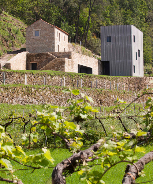 correia/ragazzi arquitectos restores and expands a rural winery in northern portugal