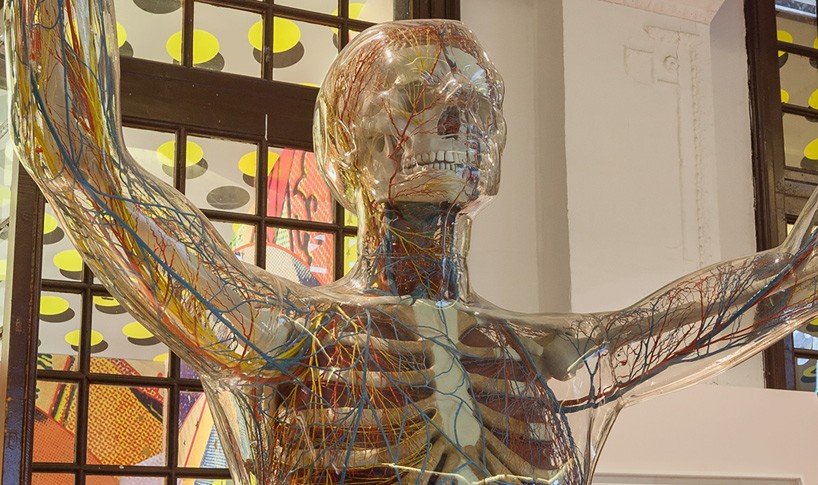 istanbul design biennial transparent man franz tschackert designboom