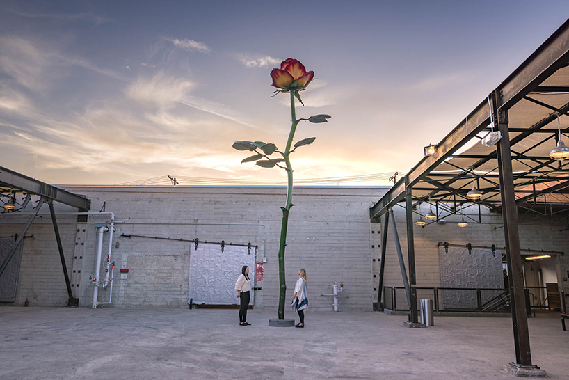 hauser wirth schimmel los angeles
