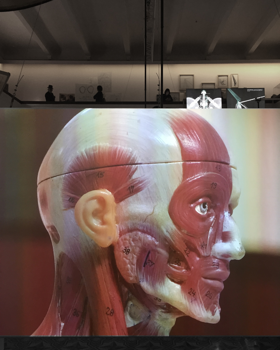 istanbul-design-biennial-2016-interview-beatriz-colomina-mark-wigley-designboom-01