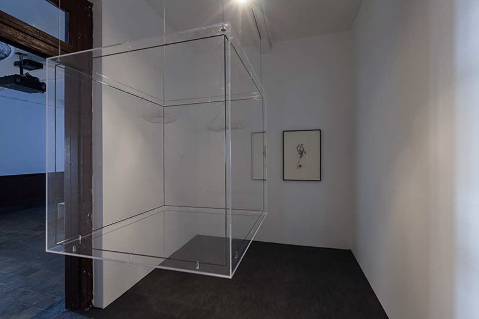istanbul-design-biennial-2016-interview-beatriz-colomina-mark-wigley-designboom-q2