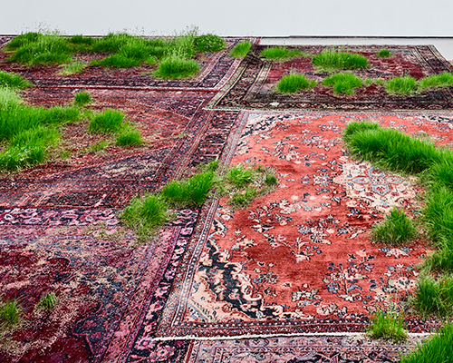 persian rugs sprout patches of greenery for martin roth's living installation