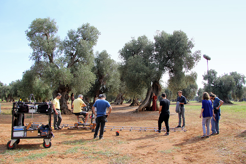 natuzzi behind the scenes a summer dream puglia designboom