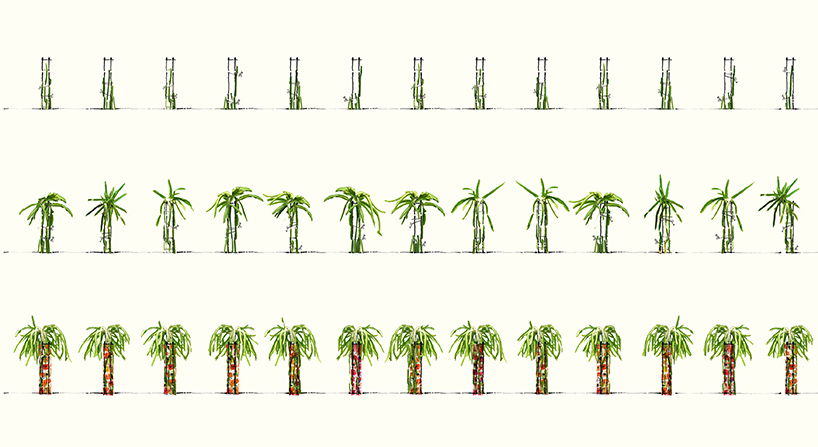 nishizawaa-architects-katzden-architec-factory-vietnam-designboom-x3