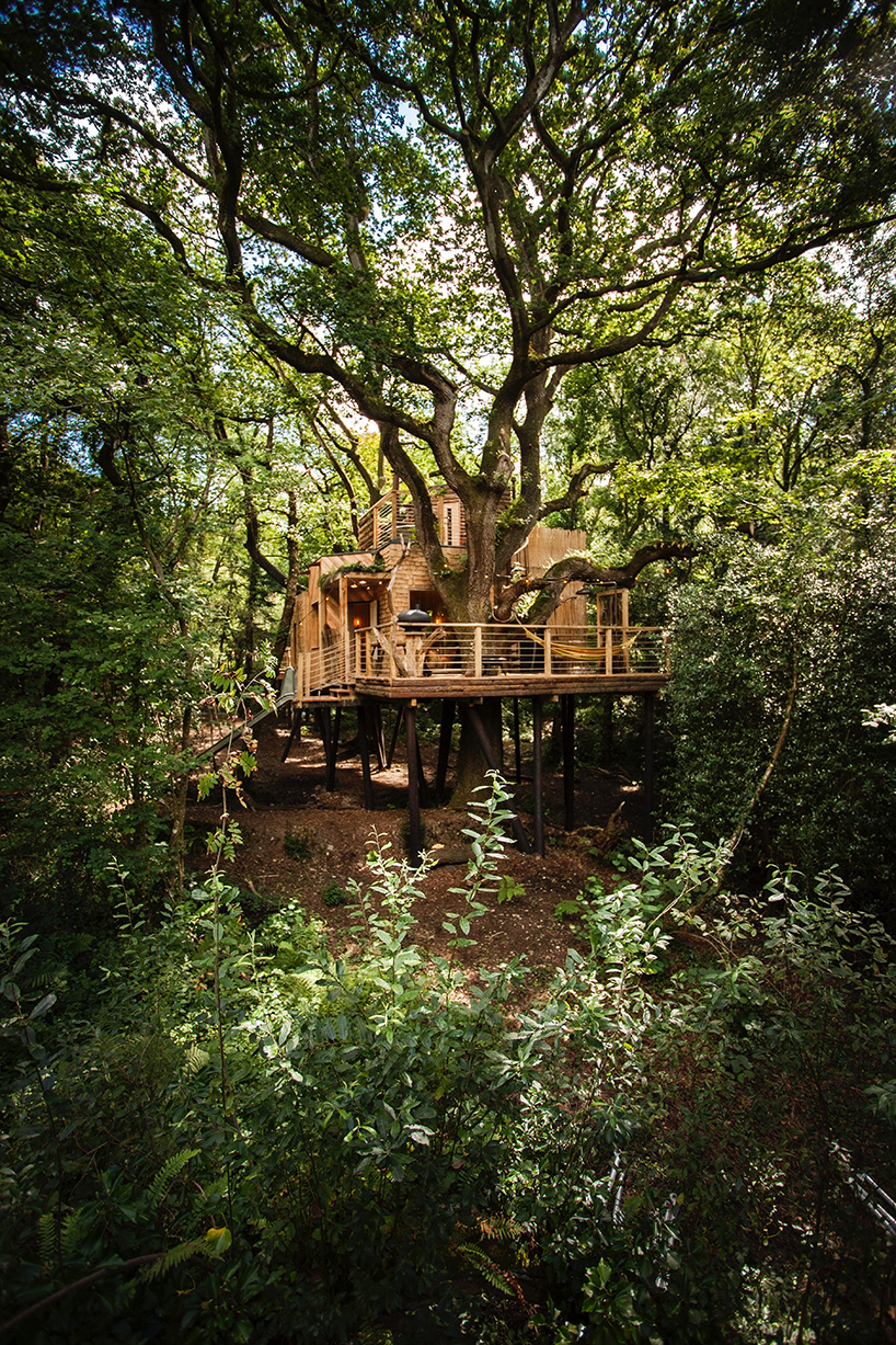 woodman-treehouse-west-dorset-england-guy-mallinson-brownlie-ernst-and-marks-designboom-02
