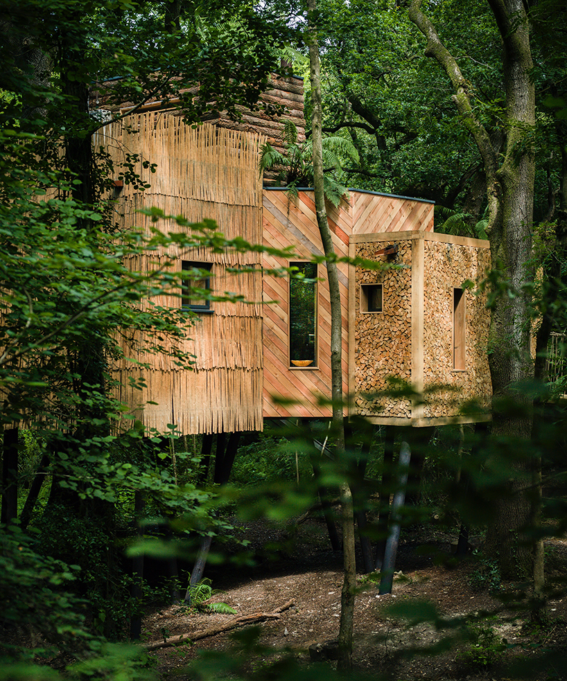 woodman-treehouse-west-dorset-england-guy-mallinson-brownlie-ernst-and-marks-designboom-02
