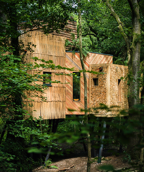woodman's treehouse is a secluded sustainable sanctuary near the jurassic coast
