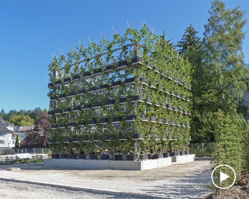ferdinand ludwig builds hybrids of living nature and technology