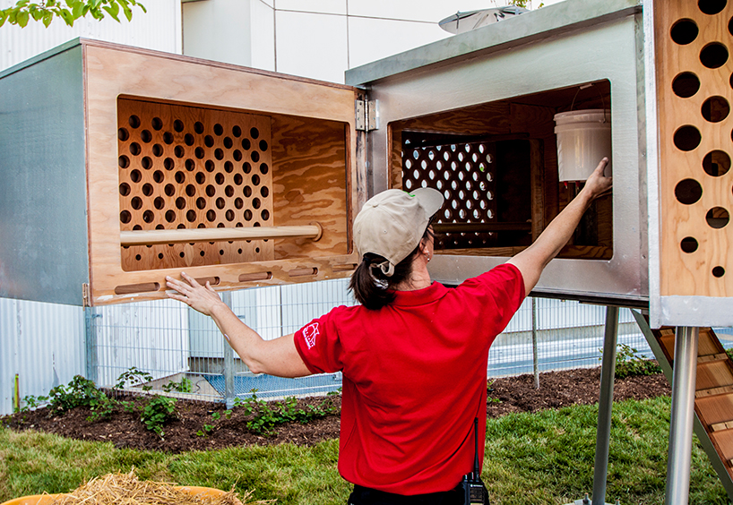 ufo-chicken-coup-jakub-szczesny-szcz-designboom-02