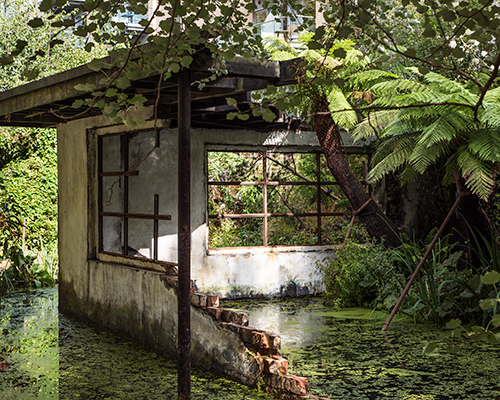 alex hartley erects a decaying, faux modernist ruin in a jungle-like london garden