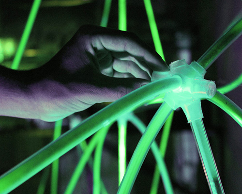 alice bonicelli redefines interiors with bio-luminescent installation