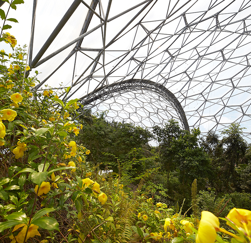 grimshaw's eden project: the world's biggest greenhouse