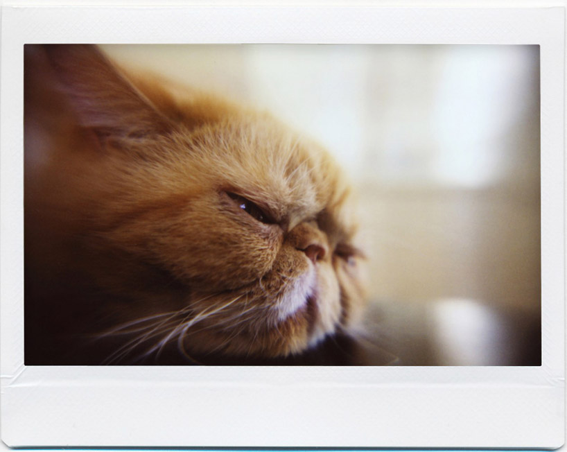 lomo instant wide victoria camera designboom