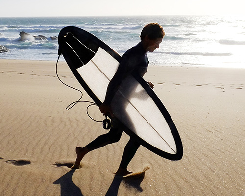 manuel chichorro designs translucent hiveboard