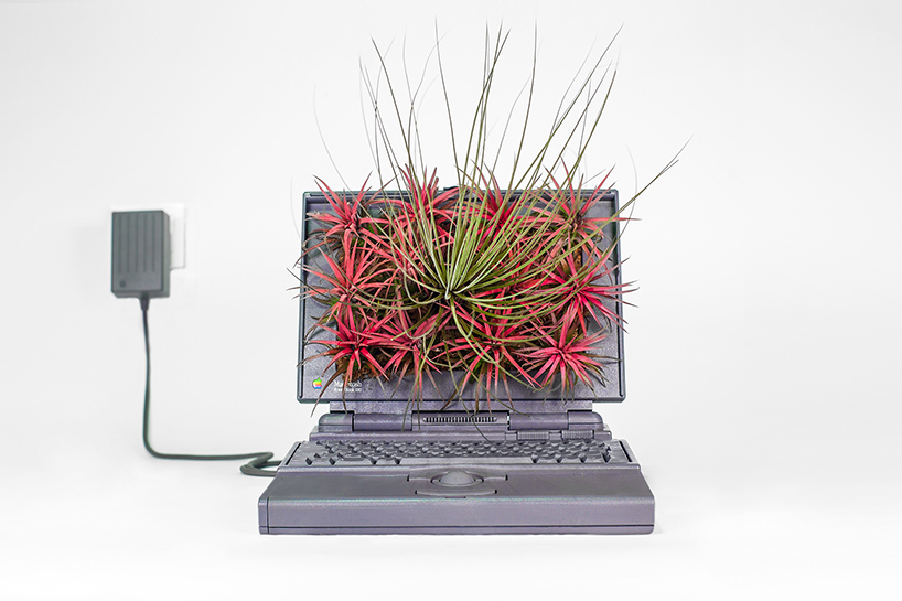 plant-your-mac-mr-plant-christophe-guinet-designboom-02
