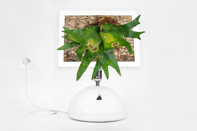 plant-your-mac-mr-plant-christophe-guinet-designboom-02
