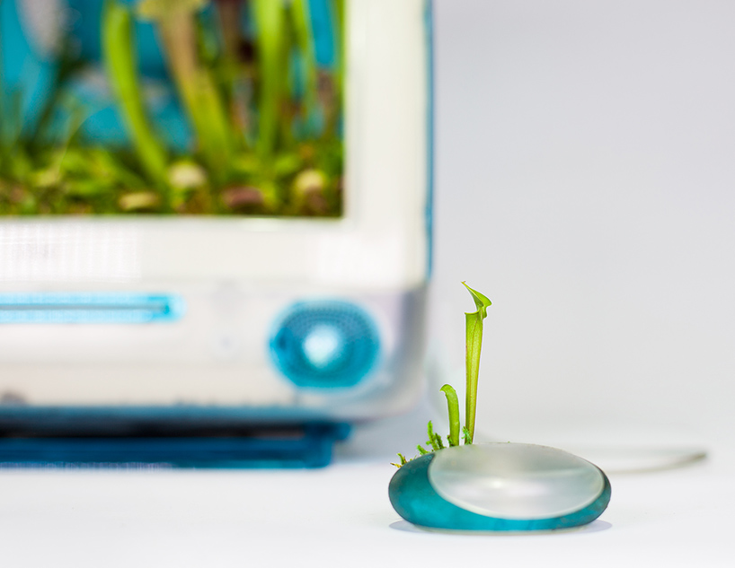 christophe turns vintage apple computers into exotic plant pots