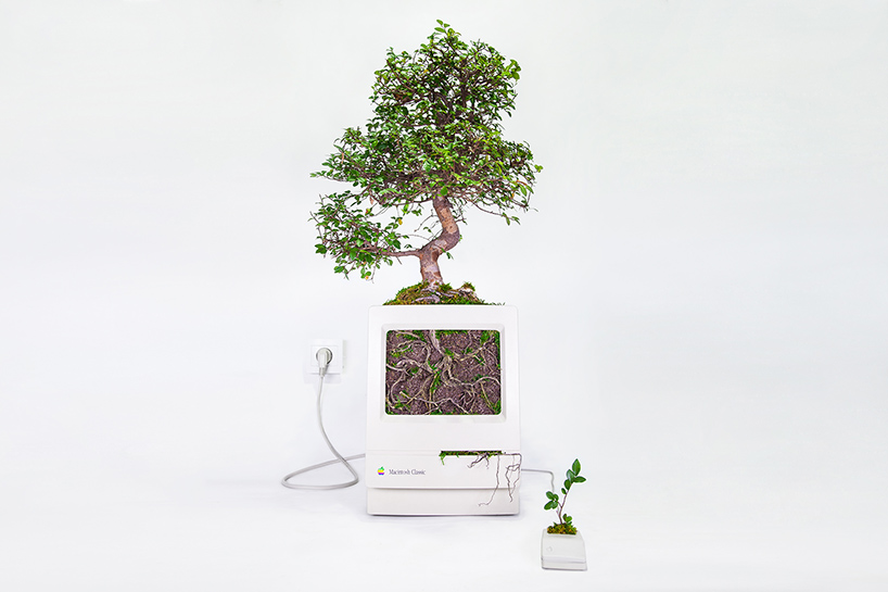 plant-your-mac-mr-plant-christophe-guinet-designboom-02