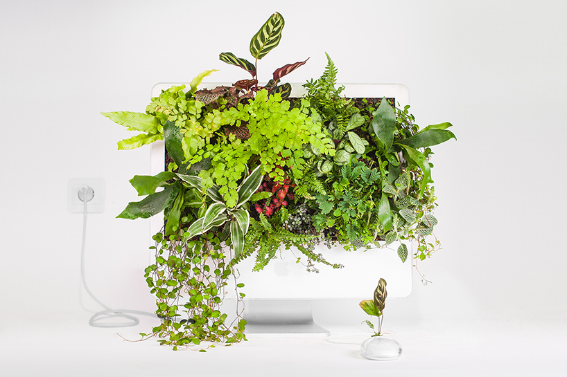 plant-your-mac-mr-plant-christophe-guinet-designboom-02