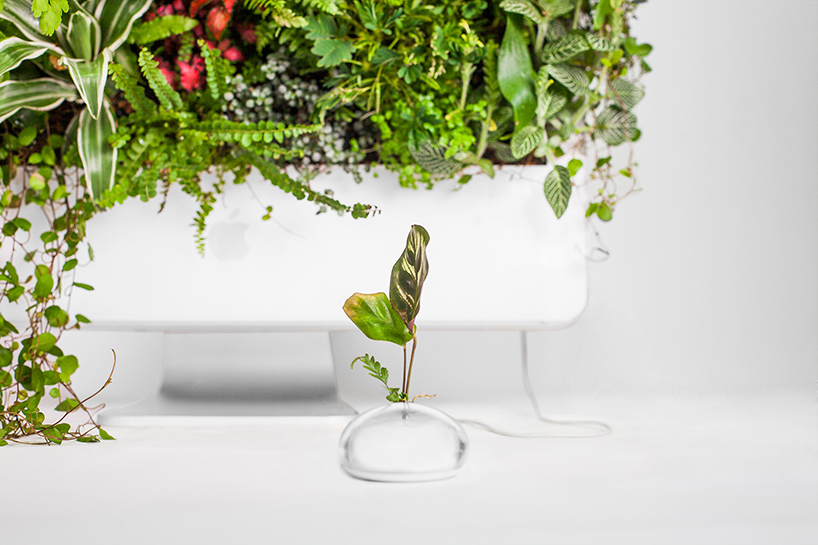 plant-your-mac-mr-plant-christophe-guinet-designboom-02