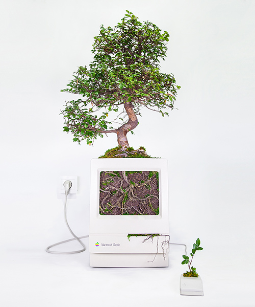 christophe guinet turns vintage apple computers into pots for exotic plants
