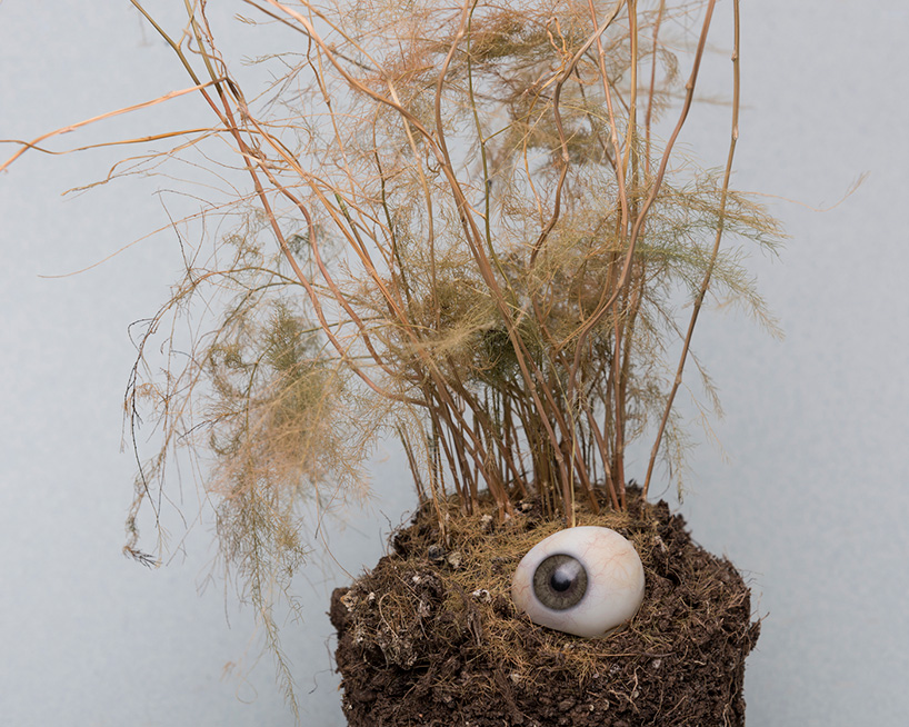 remedios-vincent-feeas-emperors-new-clothes-designboom-09