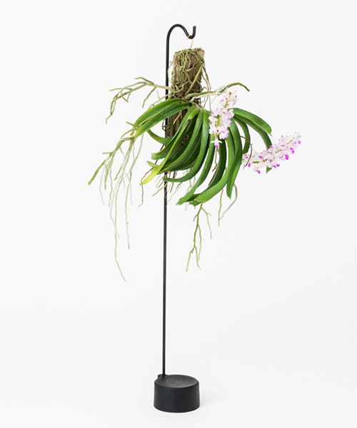 the design labo introduces botanical hangers for your house plants