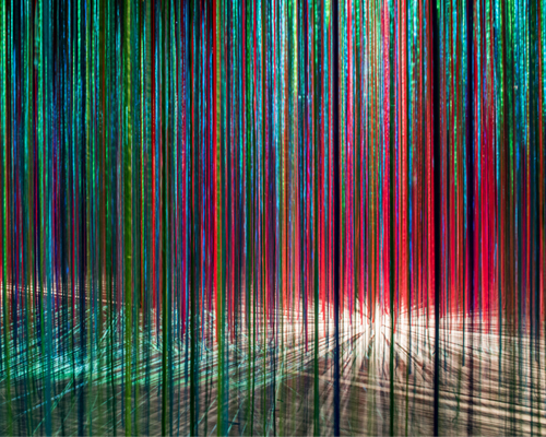 anne patterson blurs the five senses in pathless woods installation