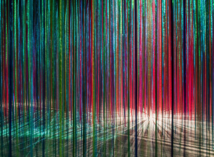 anne patterson pathless woods installation designboom
