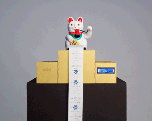 annika engelhardt exposes cat videos mania with oCat news distractor