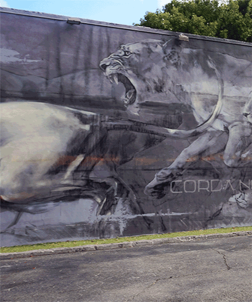 faith47 paints predator and prey, where wild animals take over miami's wynwood walls